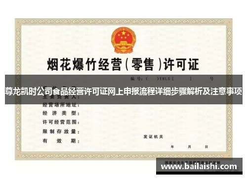 尊龙凯时公司食品经营许可证网上申报流程详细步骤解析及注意事项